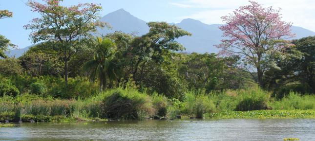 Nicaragua See Ufer Bild auf Leinwand