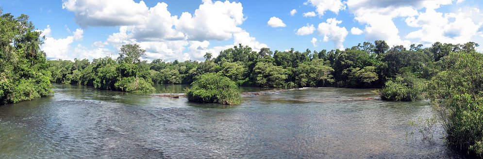 Amazonas Leinwand