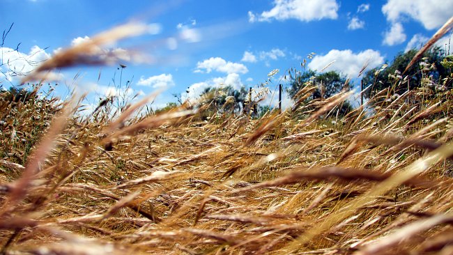 Blauer Himmel Mediterrane