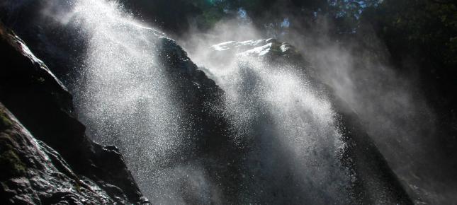 Subtropen Wasserfall Bild auf Leinwand