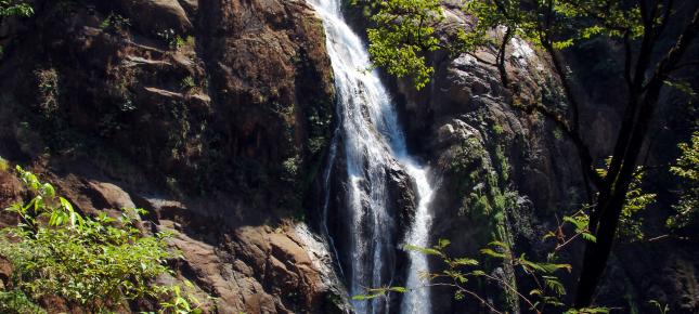 Wasserfall Natur Bild auf Leinwand