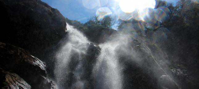 Wasserfall Subtropen Bild auf Leinwand