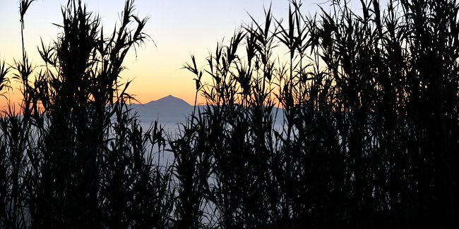 El Teide