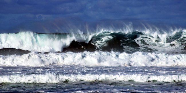 Lebendiges Meer Lebendiges Meer
