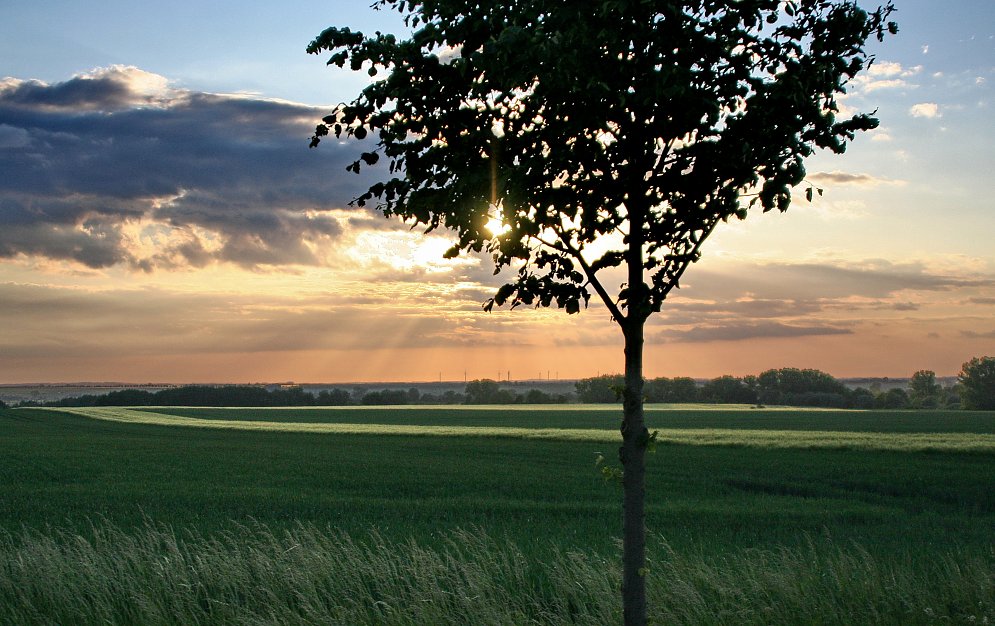 Ebene Ostdeutschland Leinwand